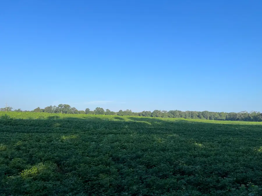 3915 3rd Avenue, Laurel Hill, FL 32567 - #2