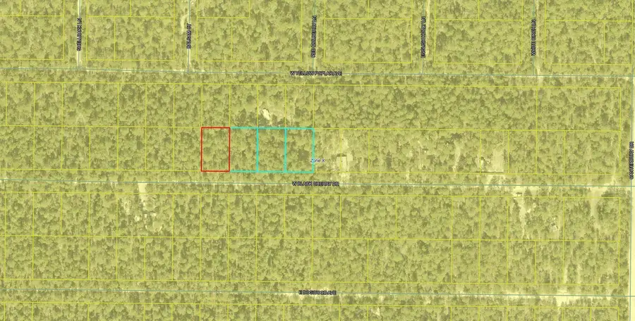 Lot 45 W Black Cherry Drive, Defuniak Springs, FL 32433 - #3
