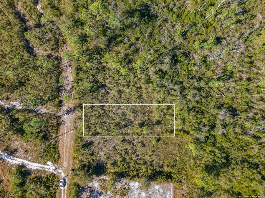 11709 Poinsettia Street, Fountain, FL 32438 - #3