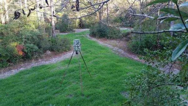 TBD Sowell Drive, Crestview, FL 32539