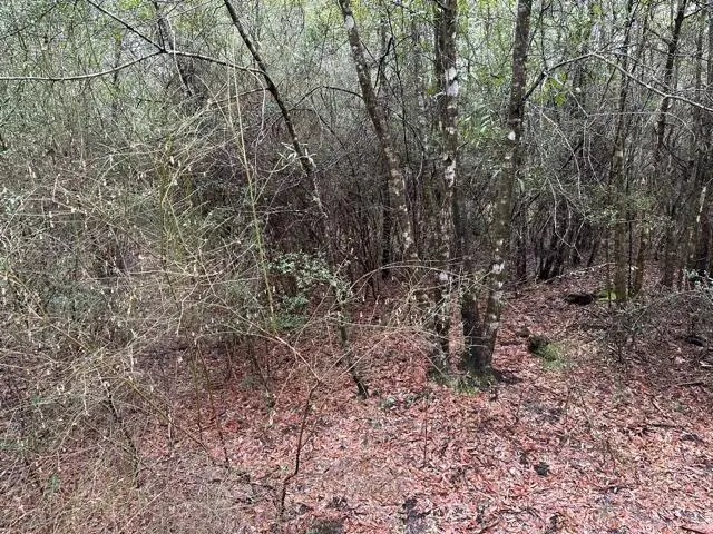 #3