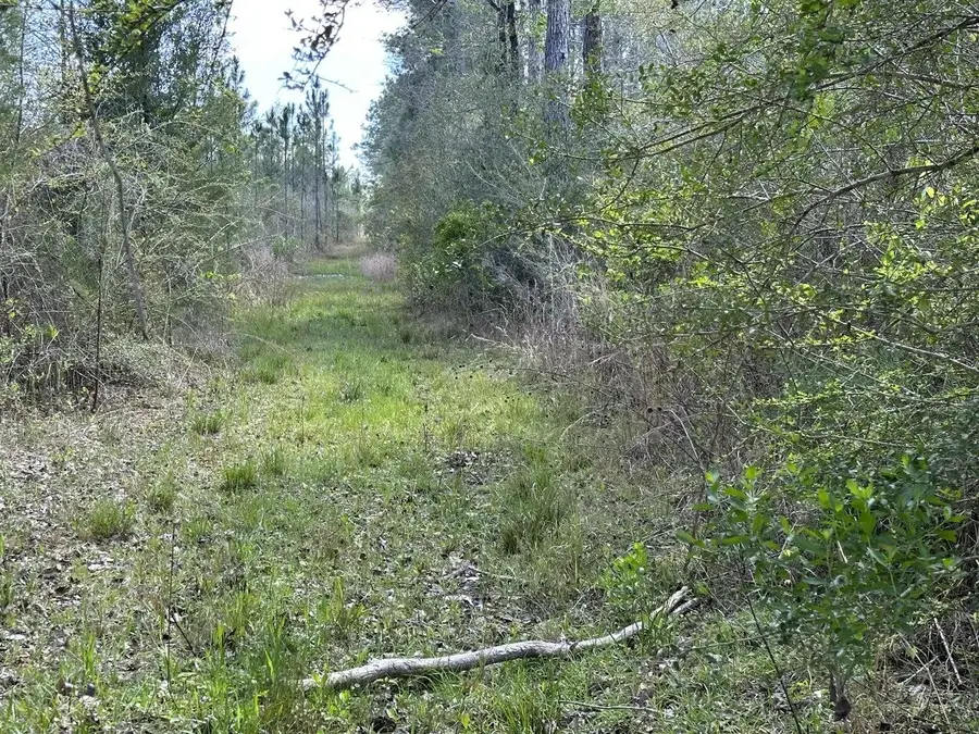 Tract#6416 Brock Road, Caryville, FL 32427 - Image #2