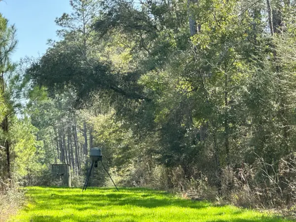 Tract#6416 S Douglas Ferry Road, Caryville, FL 32427