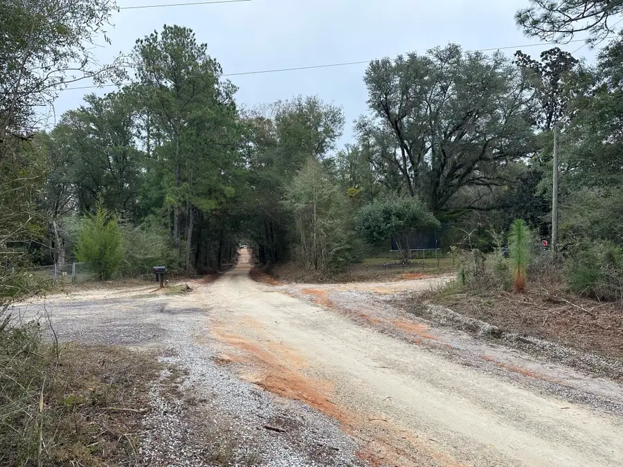 Tract#6418 S Bryant Bay Road, Caryville, FL 32427 - #3