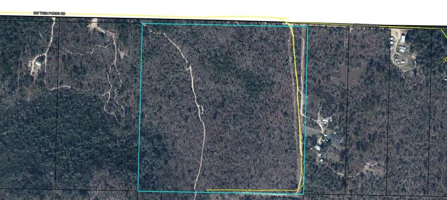 TBD Twin Ponds Road, Umatilla, FL 00N/A - Image #2