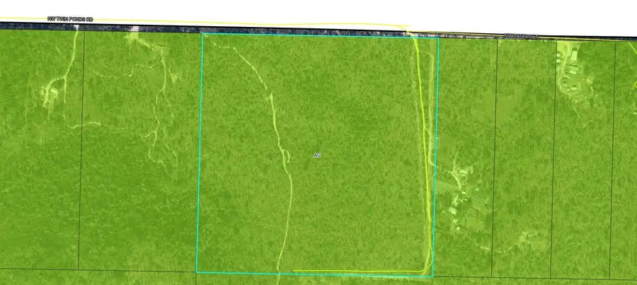 TBD Twin Ponds Road, Umatilla, FL 00N/A - Image #3