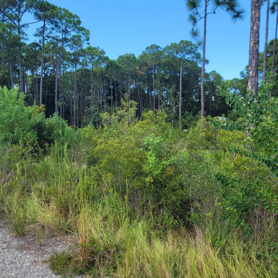 Lot 24 Nautilus Court, Santa Rosa Beach, FL 32459 - Image #2