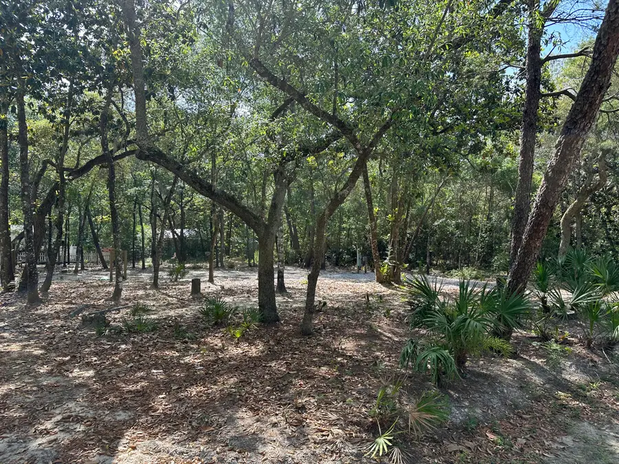 xx Turquoise Beach Drive, Santa Rosa Beach, FL 32459 - #2