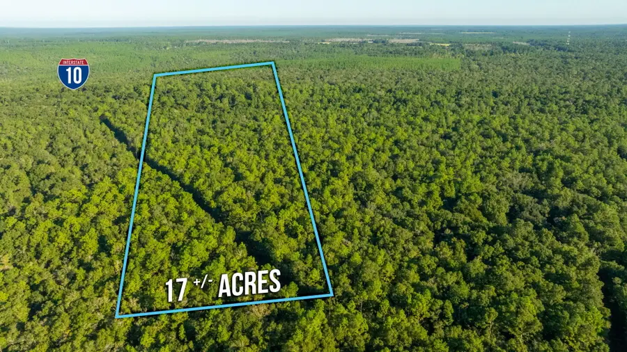8.5 Acres Lyons Place, Holt, FL 32564 - #3
