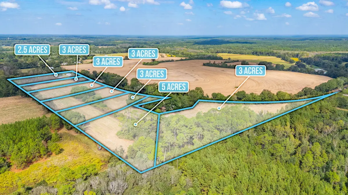 3 Acre -A Prescott Rd, Florala, AL 36442 - #1