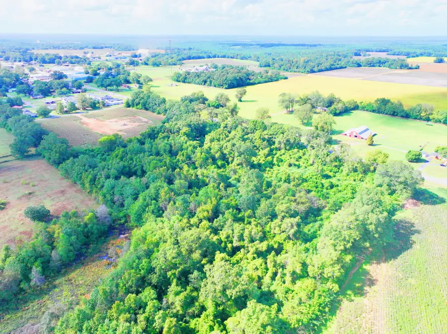 Lot 3 Beck Avenue, Jay, FL 32565 - #3