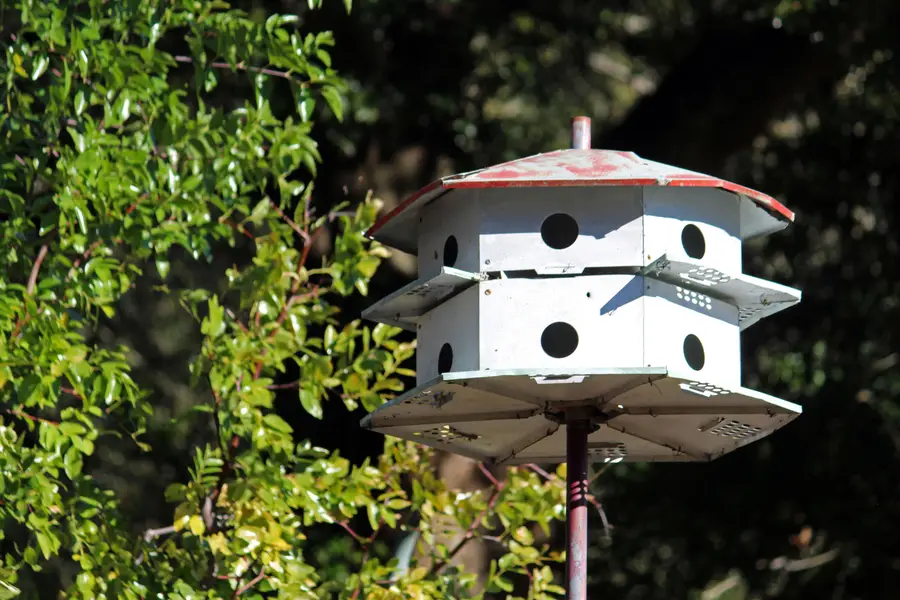 311 Mcewen Drive, Niceville, FL 32578 - Image #3