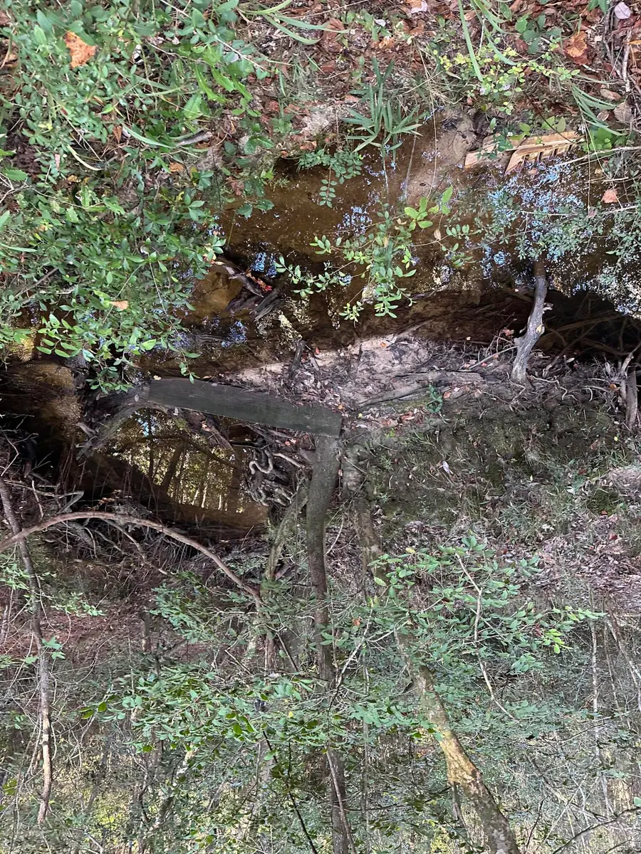 20.25 Strickland Road, Defuniak Springs, FL 32435 - Image #2