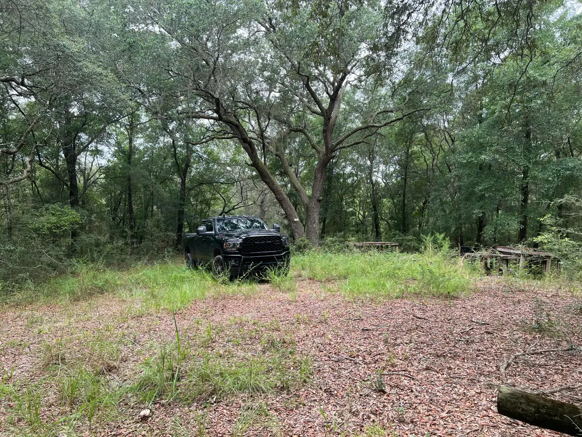 XXXX Lonesome Pine Street Street, Holt, FL 32564 - Image #1