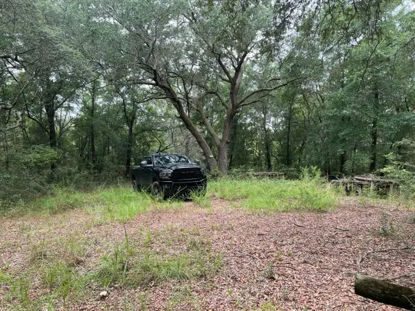 XXXX Lonesome Pine Street Street, Holt, FL 32564