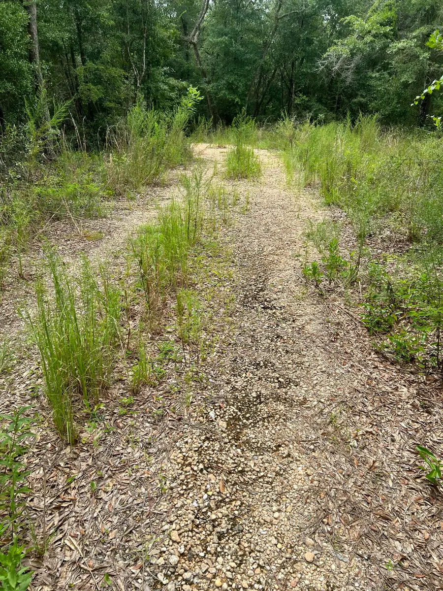 XXXX Lonesome Pine Street Street, Holt, FL 32564 - Image #2