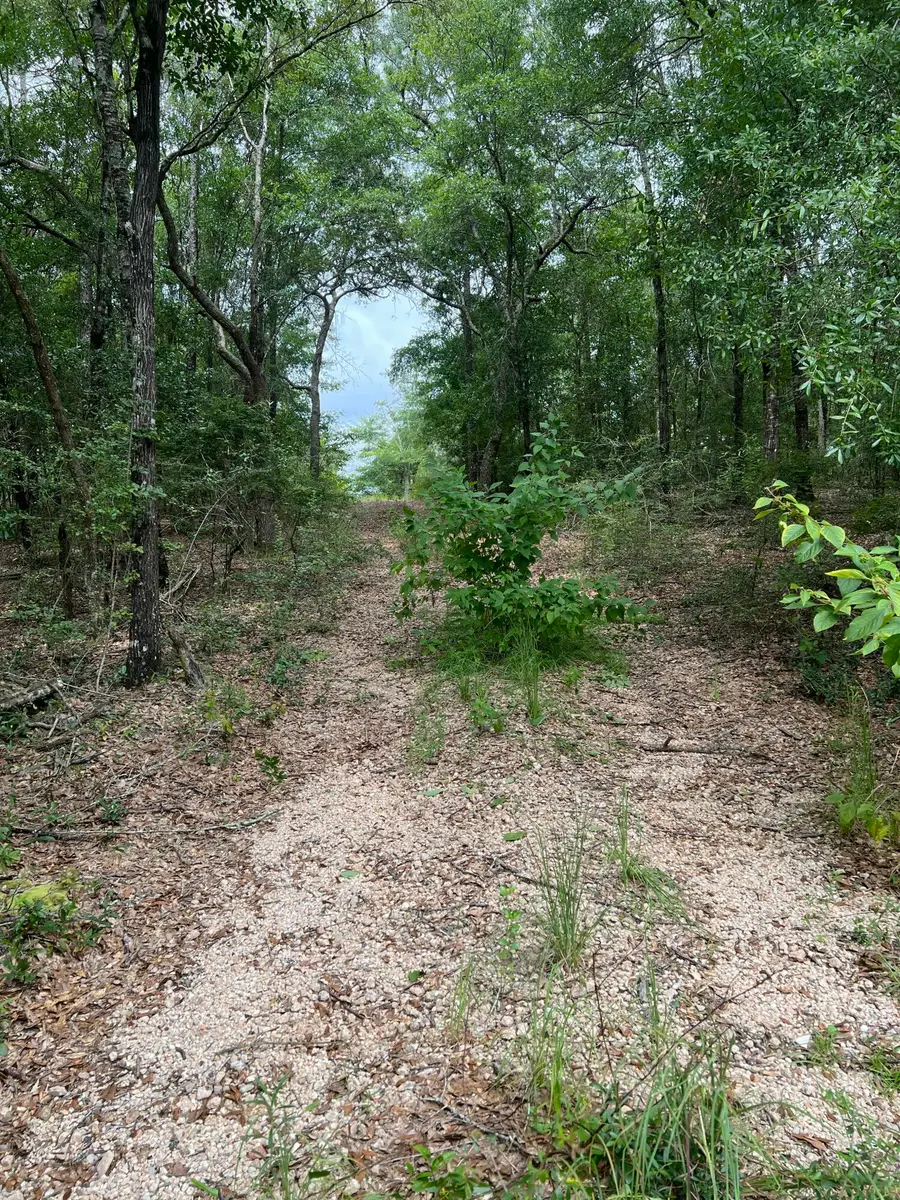 XXXX Lonesome Pine Street Street, Holt, FL 32564 - Image #3