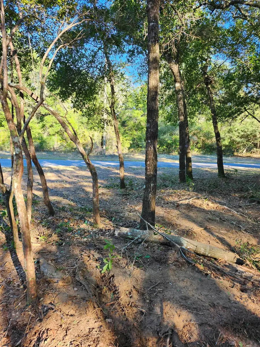 XX Diane Place, Chipley, FL 32428 - Image #3