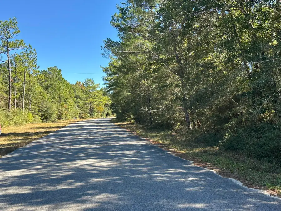 Parcel A Bear Head Road, Crestview, FL 32539 - Image #3