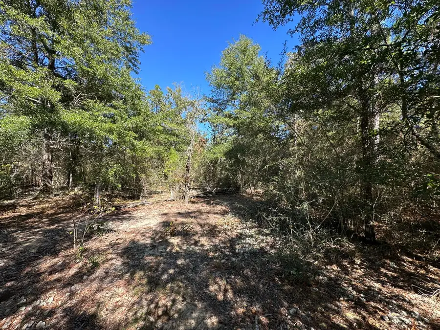 TBD Bear Head Road, Crestview, FL 32539 - Image #3