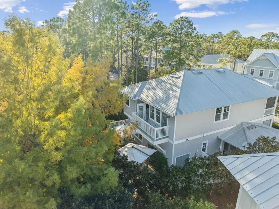 318 E Royal Fern Way, Santa Rosa Beach, FL 32459 - Image #3