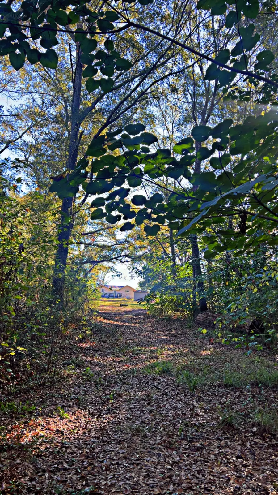 8092 Highway 393, Laurel Hill, FL 32567 - Image #2