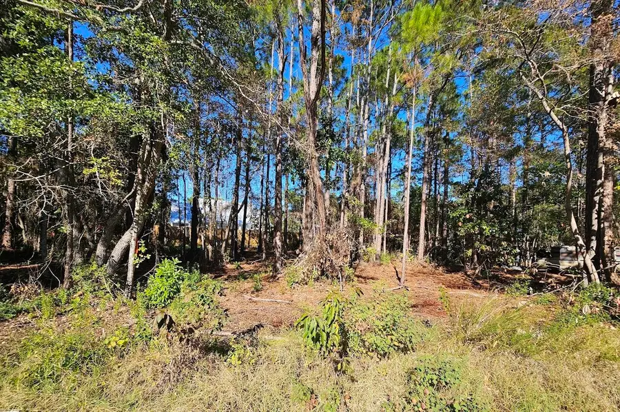 XY Nikki Circle, Santa Rosa Beach, FL 32459 - Image #2