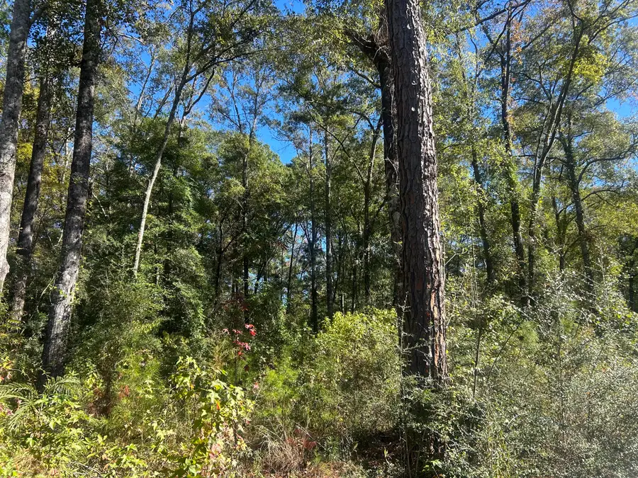 2254 River Bend Circle, Bonifay, FL 32425 - Image #2