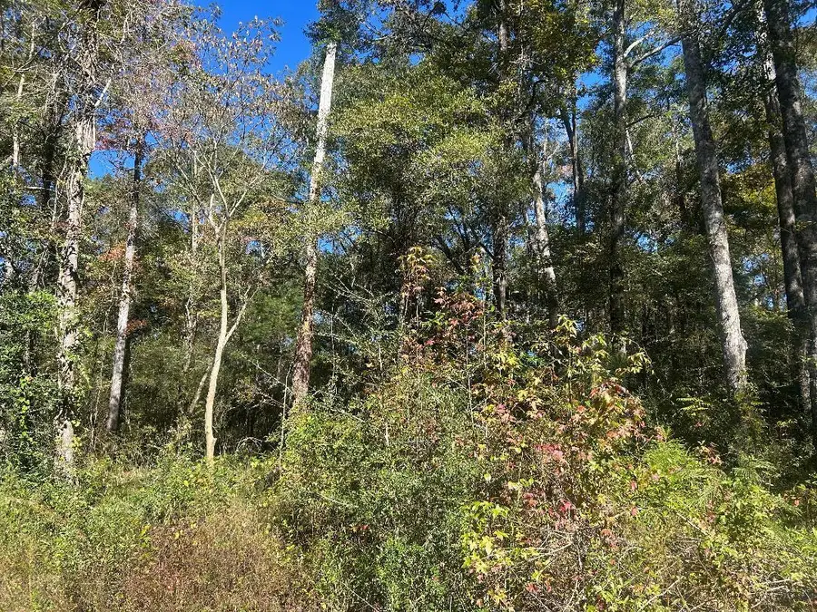 2254 River Bend Circle, Bonifay, FL 32425 - Image #3