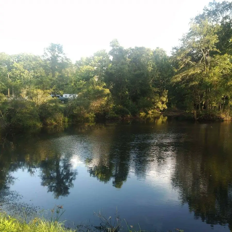 3292 S 2nd Avenue South Avenue, Bonifay, FL 32425 - Image #2