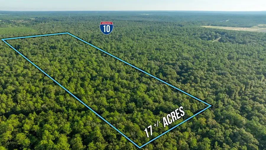 17 Acres Lyons Place, Holt, FL 32564 - Image #2