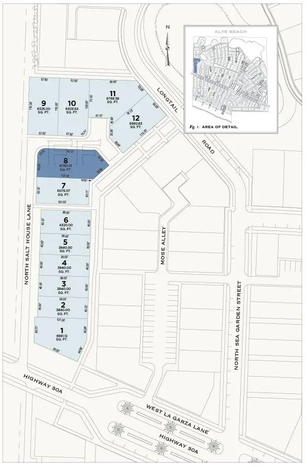 FF8 N Salt House Lane, Inlet Beach, FL 32461 - Image #1