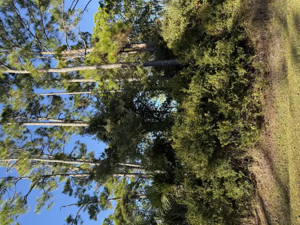 123 Cottage Lane, Port St. Joe, FL 32456