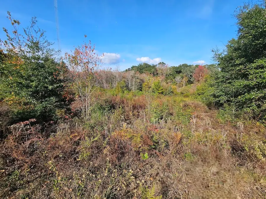 940 S Cedar Avenue, Niceville, FL 32578 - Image #3