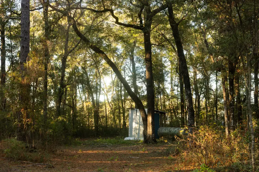 276 Squirrel Rd Road, Defuniak Springs, FL 32433 - Image #2