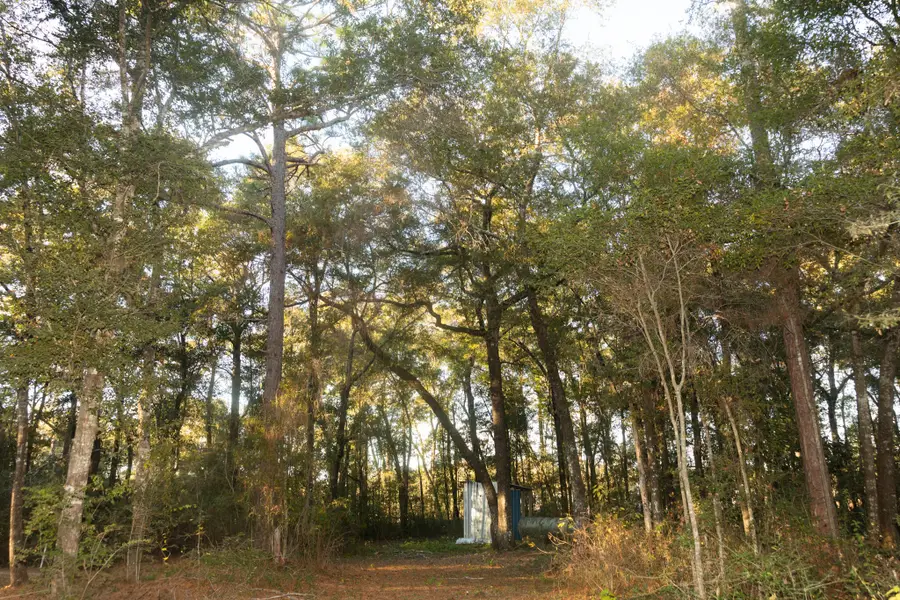 276 Squirrel Rd Road, Defuniak Springs, FL 32433 - Image #3