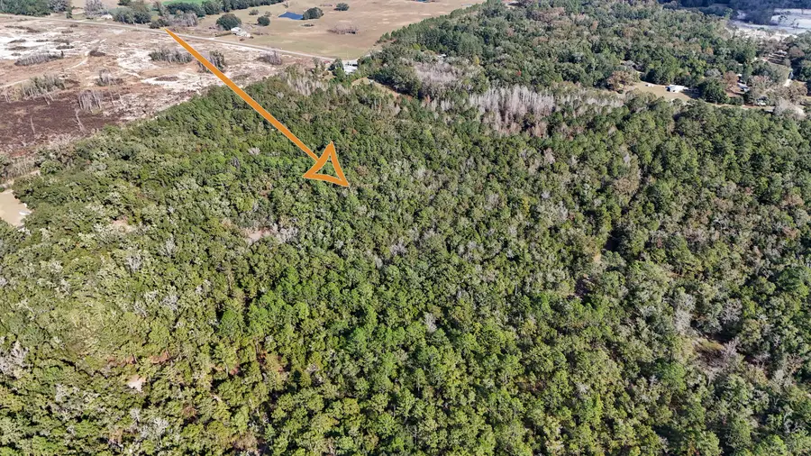 TBD Co Highway 181-c, Ponce De Leon, FL 32455 - Image #3