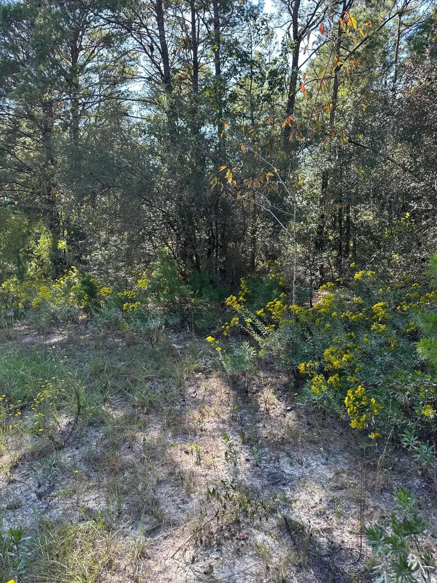 134 Post Oak Road, Defuniak Springs, FL 32433 - Image #2