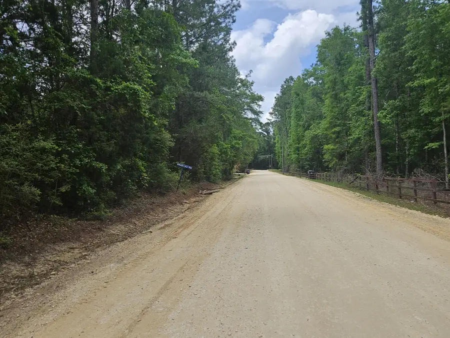 2 Acres Tyner Ln, Defuniak Springs, FL 32435 - Image #2
