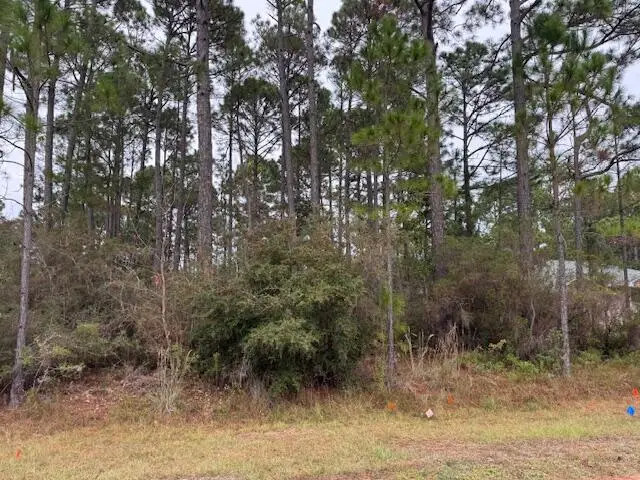 0 Duval Street, Navarre, FL 32566 - Image #3