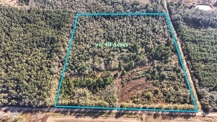 30772 Smyrna Road, Florala, AL 36442 - Image #3