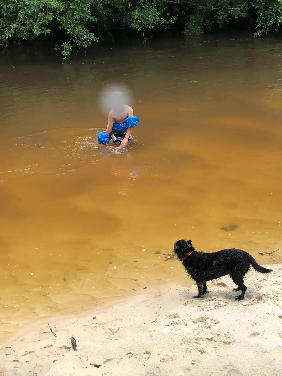 Parcel 1/D Sunburst Drive, Crestview, FL 32539 - Image #3