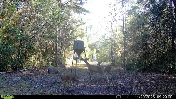 Parcel A&B Sunburst Drive, Crestview, FL 32539