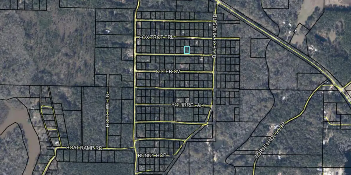 Lot 157 Possum Trott, Bonifay, FL 32425 - Image #1