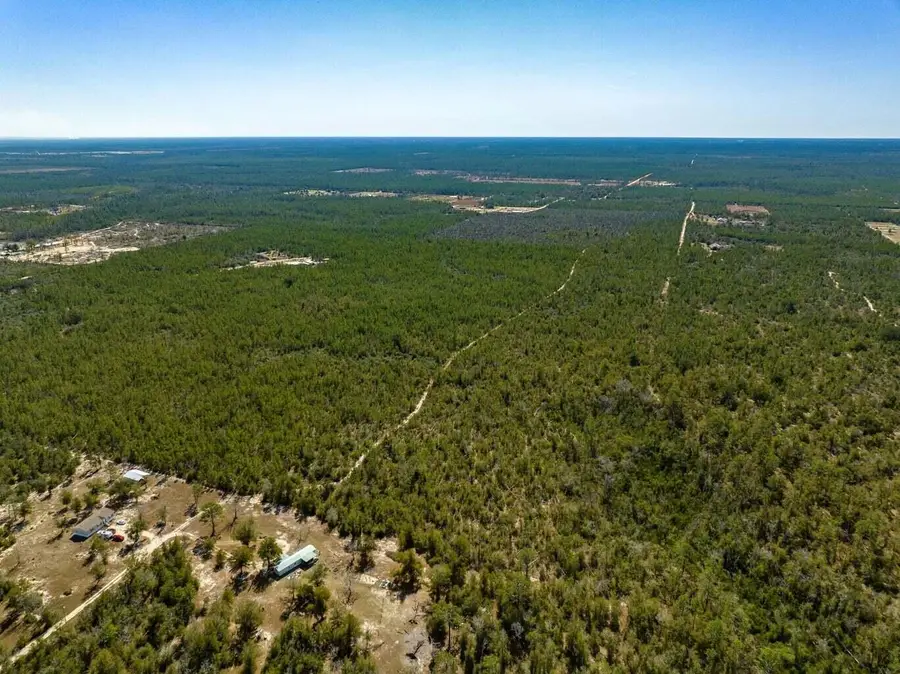 110+/- Acres Hwy 20 Youngstown, Other, FL 00N/A - Image #2