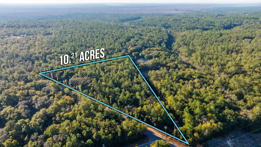 10+ AC Broxson Road, Holt, FL 32564 - Image #2