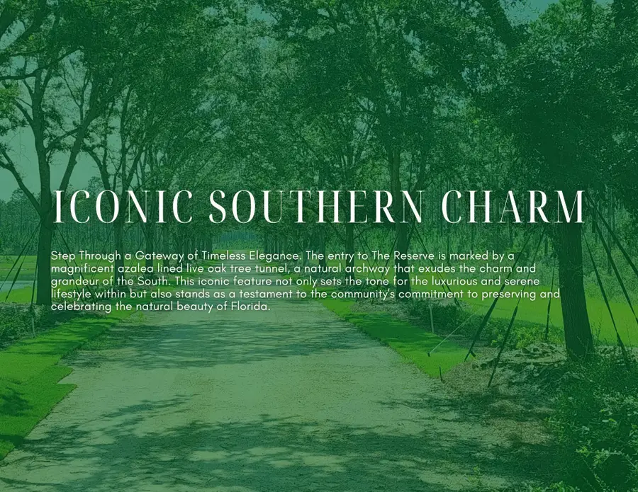 Lot 28 Reserve At Hammock Bay, Freeport, FL 32439 - Image #2