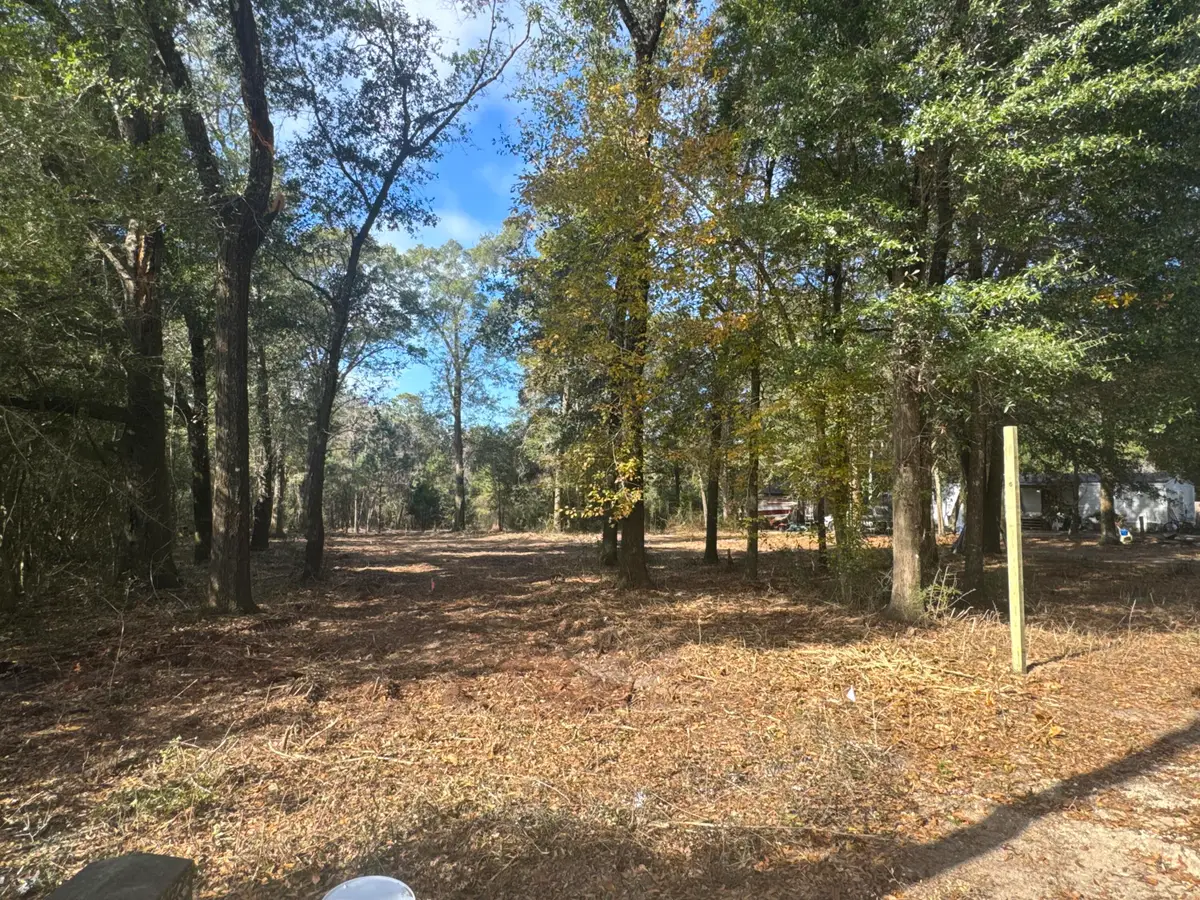 2 Acres N Norwood North Road, Defuniak Springs, FL 32433 - Image #1