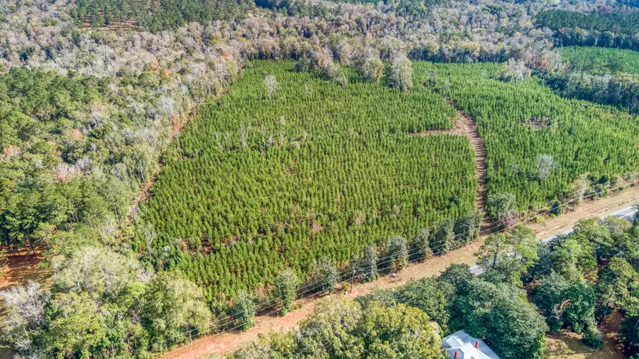 0 Bainbridge Rd Highway, Quincy, FL 32351 - Image #3