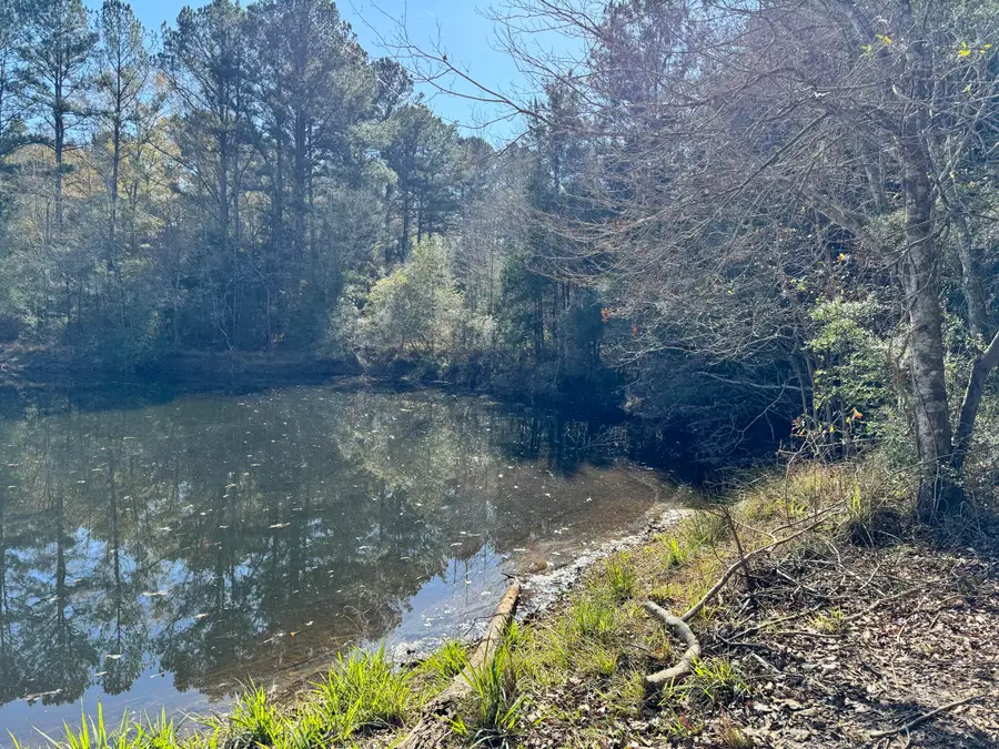 0 Gibson Street, Elba, AL 36323 - #2